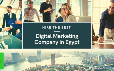 التسويق الرقمي وبناء العلامات التجارية 3